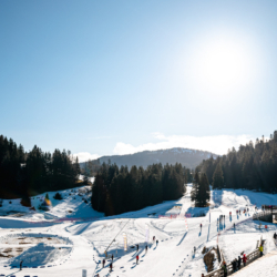 SAMSE N°7,PRÉMANON, FRANCE - MARCH 1: STADIUM March 1, 2026 in PRÉMANON, France. (Photo by Rodriguez Alexis / @Aleiks_photo)