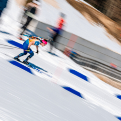 SAMSE N°7,PRÉMANON, FRANCE - MARCH 1: NOE SEIGNEUR of FRA March 1, 2026 in PRÉMANON, France. (Photo by Rodriguez Alexis / @Aleiks_photo)