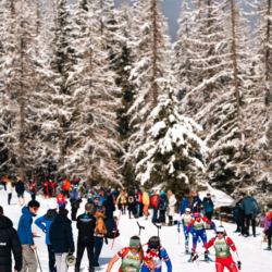 SAMSE N°8 FINALE,PEISEY, FRANCE - MARCH 15: JANIE PICARD of FRA March 15, 2026 in PEISEY, France. (Photo by Rodriguez Alexis / @Aleiks_photo)