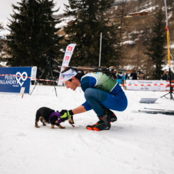 SAMSE N°8 FINALE,PEISEY, FRANCE - MARCH 15: LIONEL JOUANNAUD of FRA / ABBA (le chien) March 15, 2026 in PEISEY, France. (Photo by Rodriguez Alexis / @Aleiks_photo)