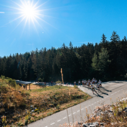 Mass Start DNF/Chrono,CORRENCON, FRANCE - JULY 10: STADIUM July 10, 2026 in Correncon, France. (Photo by Rodriguez Alexis / @Aleiks_photo) Mass Start DNF/Chrono , 842
