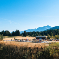 Mass Start DNF/Chrono,CORRENCON, FRANCE - JULY 10: STADIUM July 10, 2026 in Correncon, France. (Photo by Rodriguez Alexis / @Aleiks_photo) Mass Start DNF/Chrono , 846