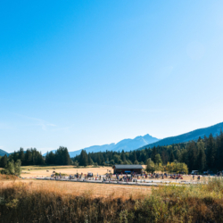 Mass Start DNF/Chrono,CORRENCON, FRANCE - JULY 10: STADIUM July 10, 2026 in Correncon, France. (Photo by Rodriguez Alexis / @Aleiks_photo) Mass Start DNF/Chrono , 847