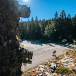 Mass Start DNF/Chrono,CORRENCON, FRANCE - JULY 10: LAMOUR Liz-thi July 10, 2026 in Correncon, France. (Photo by Rodriguez Alexis / @Aleiks_photo) Mass Start DNF/Chrono , 852