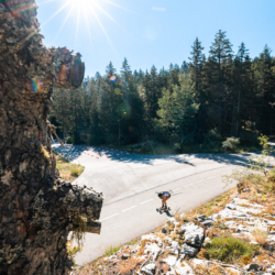 Mass Start DNF/Chrono,CORRENCON, FRANCE - JULY 10: PIC Caline July 10, 2026 in Correncon, France. (Photo by Rodriguez Alexis / @Aleiks_photo) Mass Start DNF/Chrono , 863